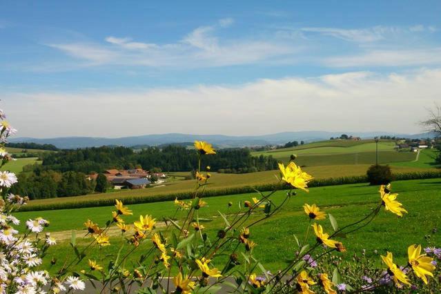 Ferienwohnung Im Bayerischen Wald Tittling Экстерьер фото